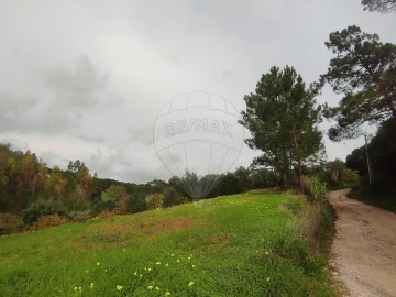 Terreno para Venda em Azambuja