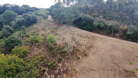 Terreno para Venda em Azambuja