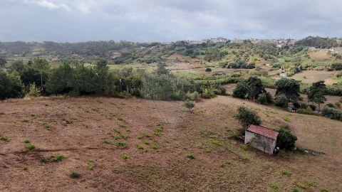 Terreno para Venda em Azambuja