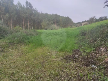 Terreno para Venda em Azambuja