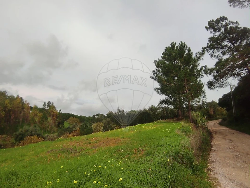 Terreno para Venda em Azambuja Foto 1