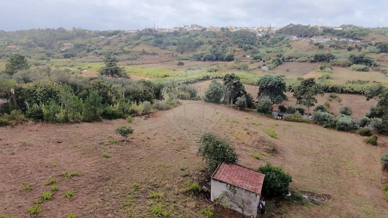 Terreno para Venda em Azambuja Foto 3
