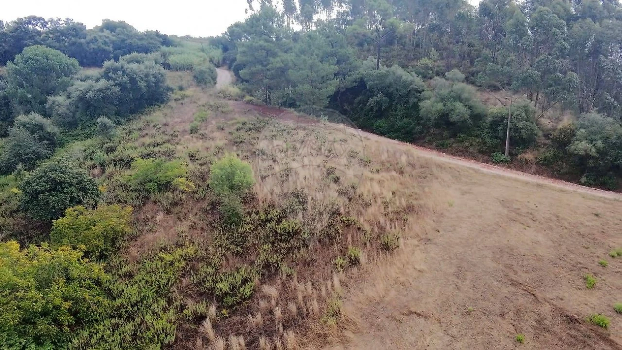Terreno para Venda em Azambuja Foto 6