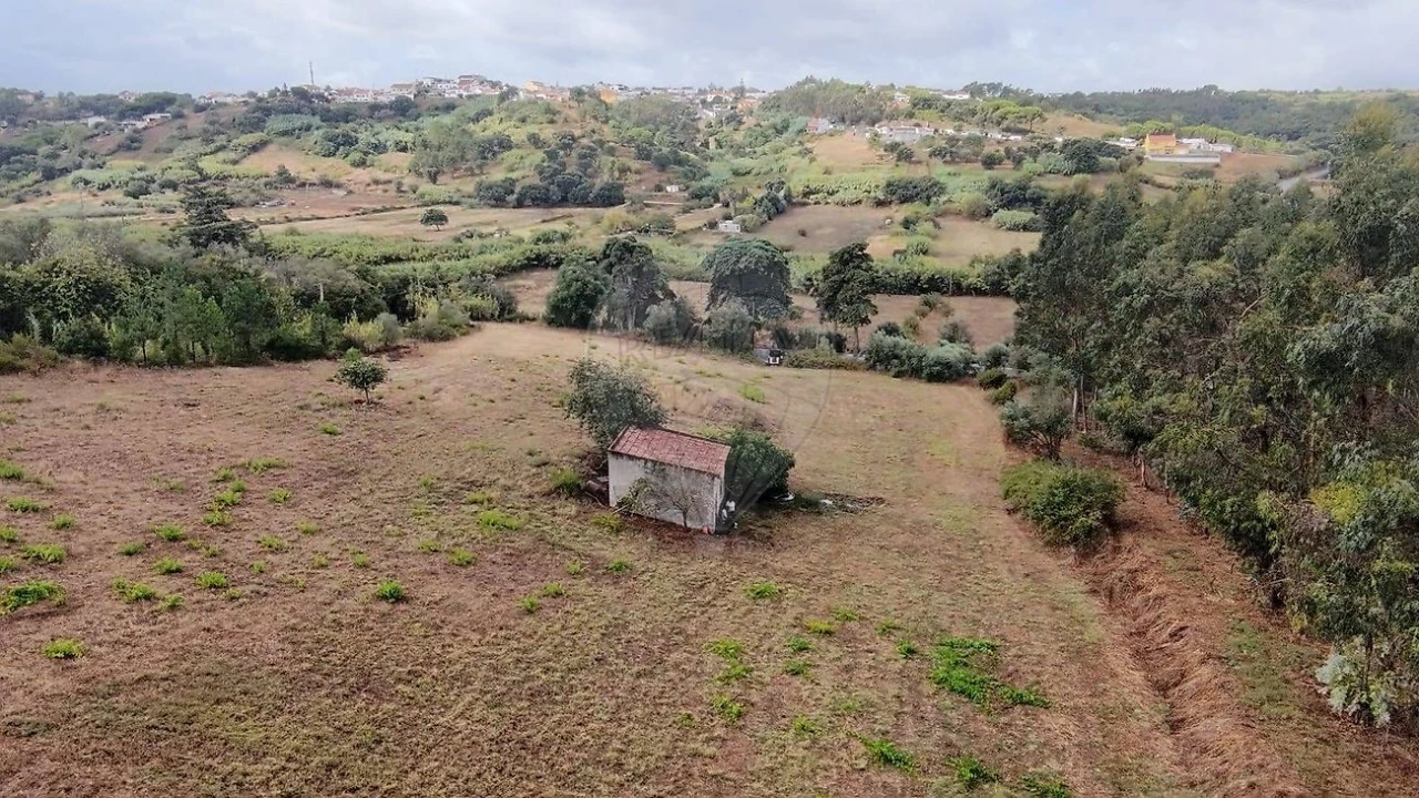 Terreno para Venda em Azambuja Foto 2