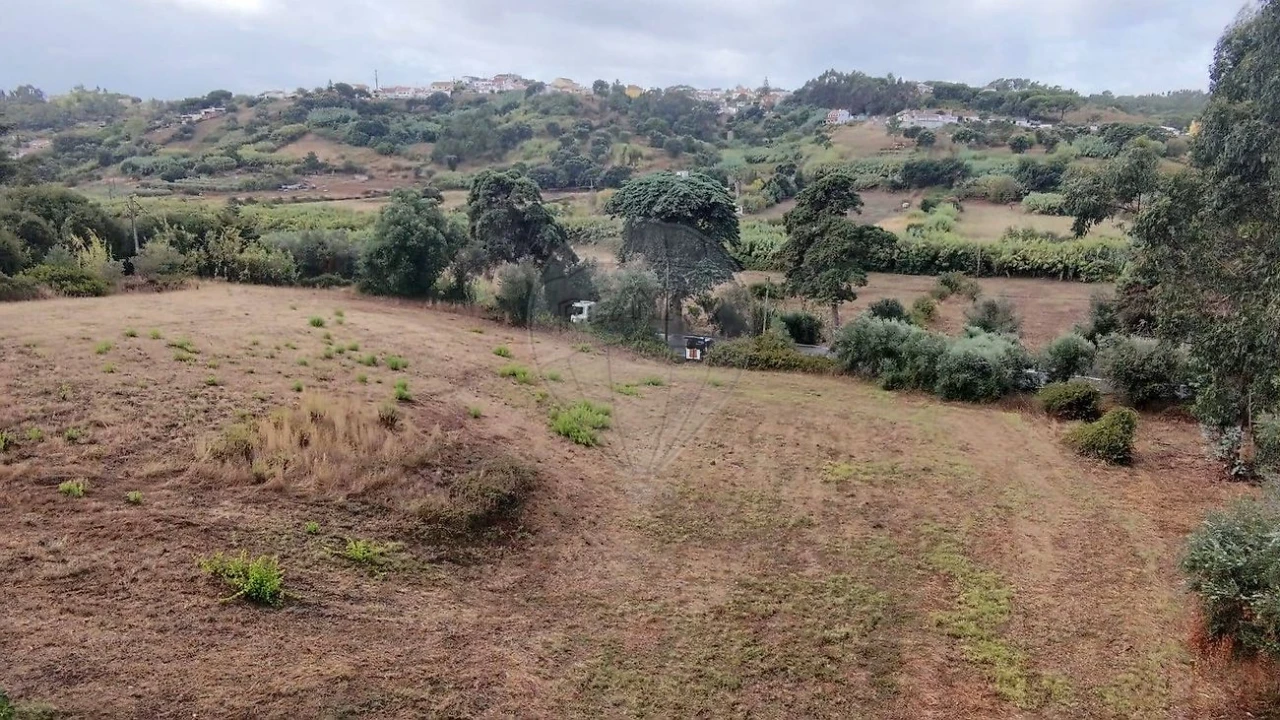 Terreno para Venda em Azambuja Foto 13
