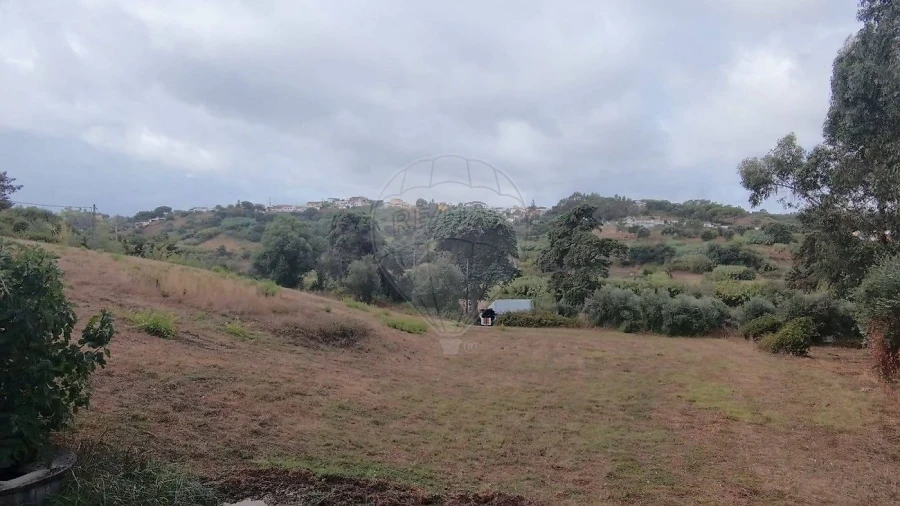 Terreno para Venda em Azambuja Foto 4
