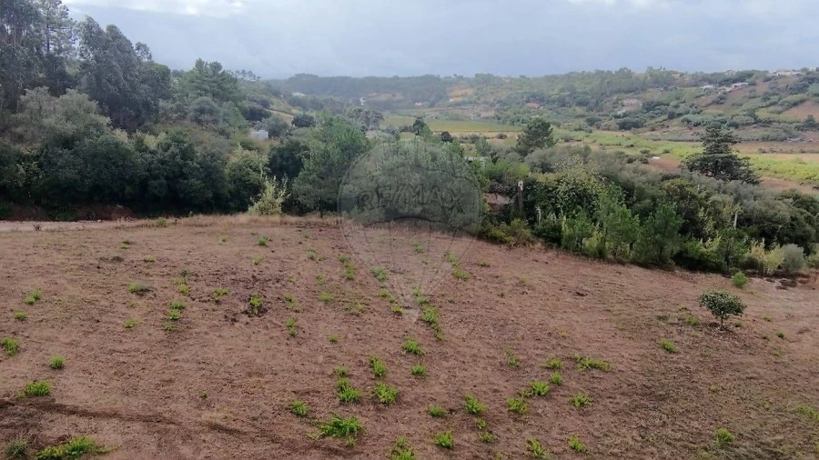 Terreno para Venda em Azambuja Foto 5