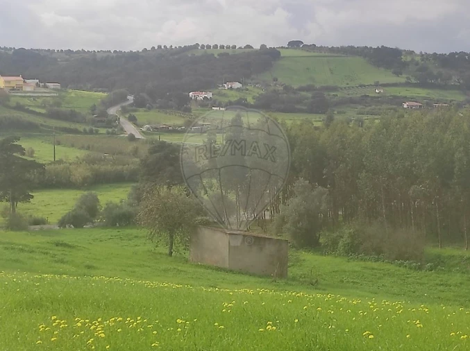 Terreno para Venda em Azambuja Foto 6