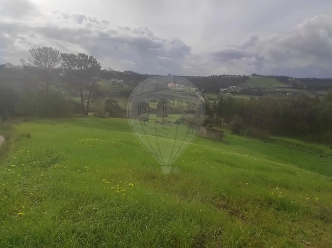 Terreno para Venda em Azambuja Foto 5
