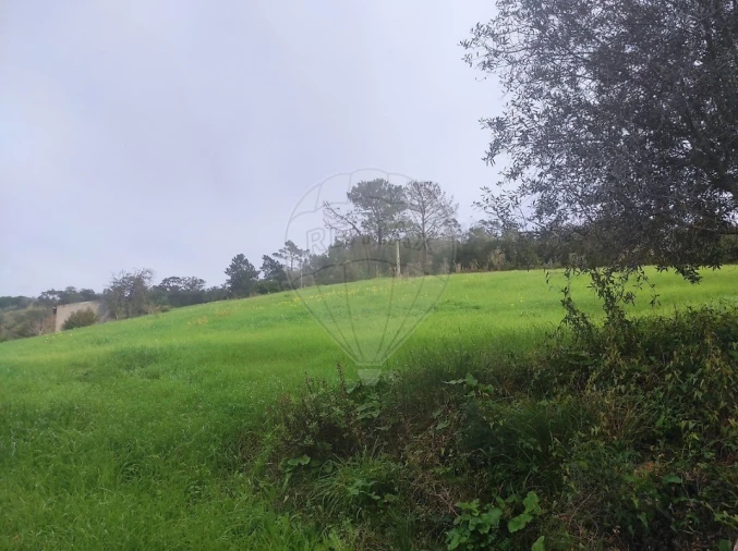 Terreno para Venda em Azambuja Foto 9