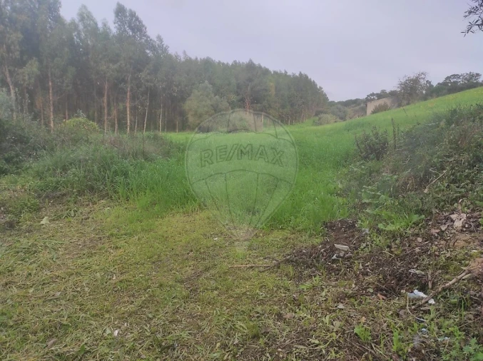 Terreno para Venda em Azambuja Foto 3