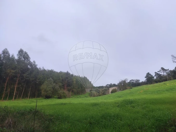 Terreno para Venda em Azambuja Foto 12