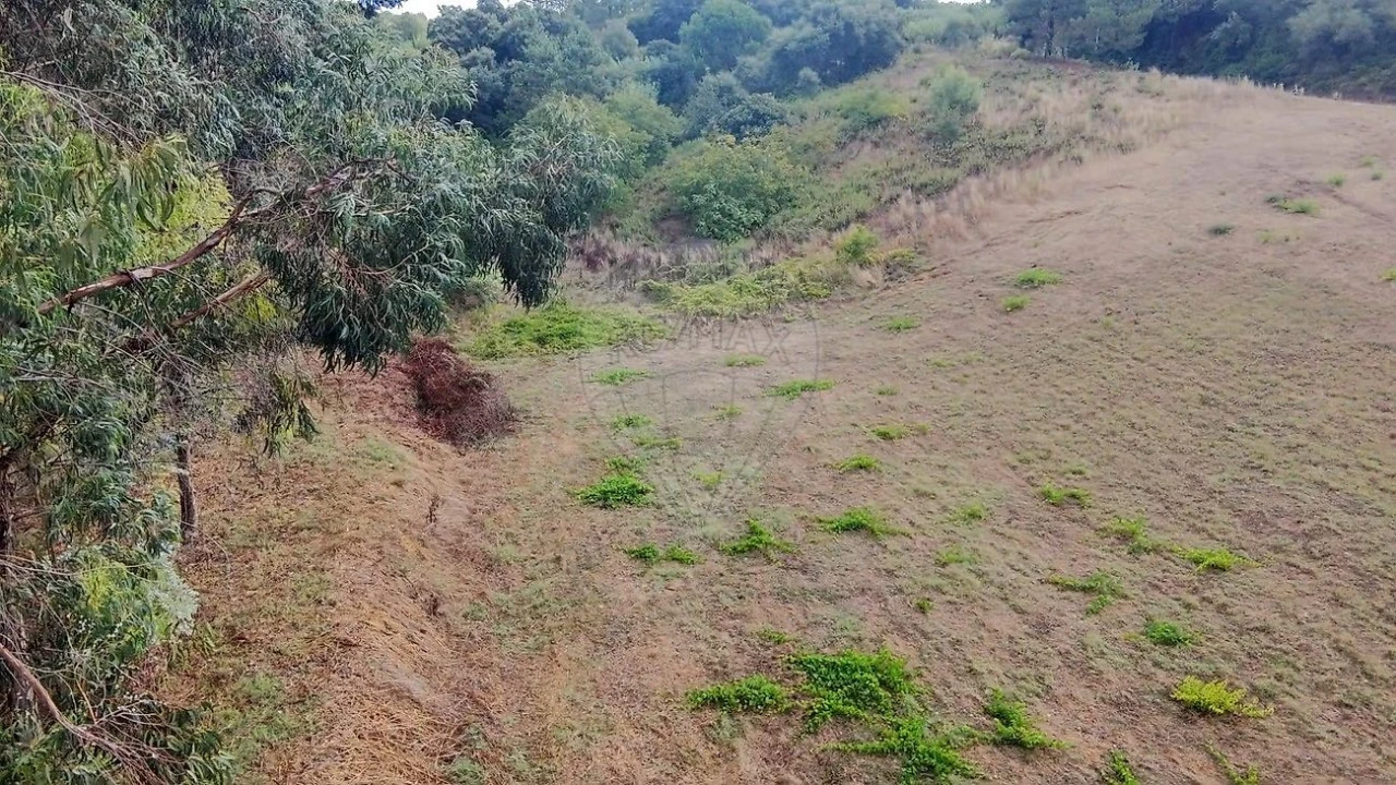 Terreno para Venda em Azambuja Foto 8