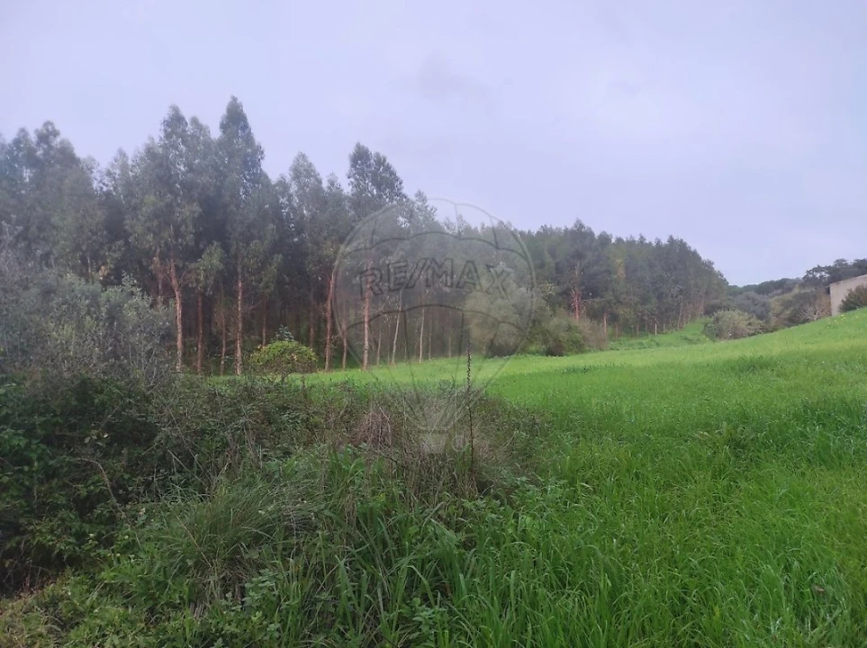 Terreno para Venda em Azambuja Foto 10
