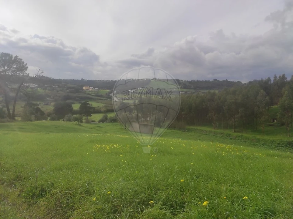 Terreno para Venda em Azambuja Foto 7