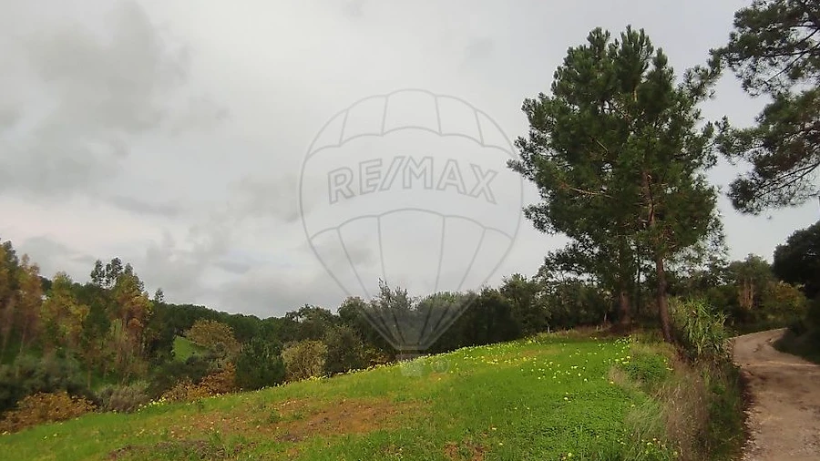 Terreno para Venda em Azambuja