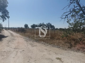 Terreno para Venda em Arez e Amieira do Tejo