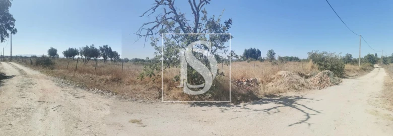 Terreno para Venda em Arez e Amieira do Tejo
