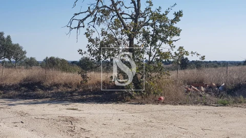 Terreno para Venda em Arez e Amieira do Tejo