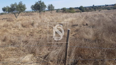 Terreno para Venda em Arez e Amieira do Tejo