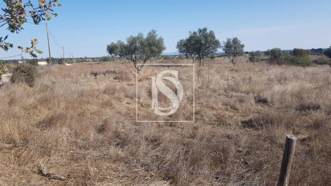Terreno para Venda em Arez e Amieira do Tejo
