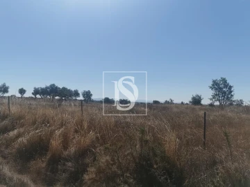 Terreno para Venda em Arez e Amieira do Tejo