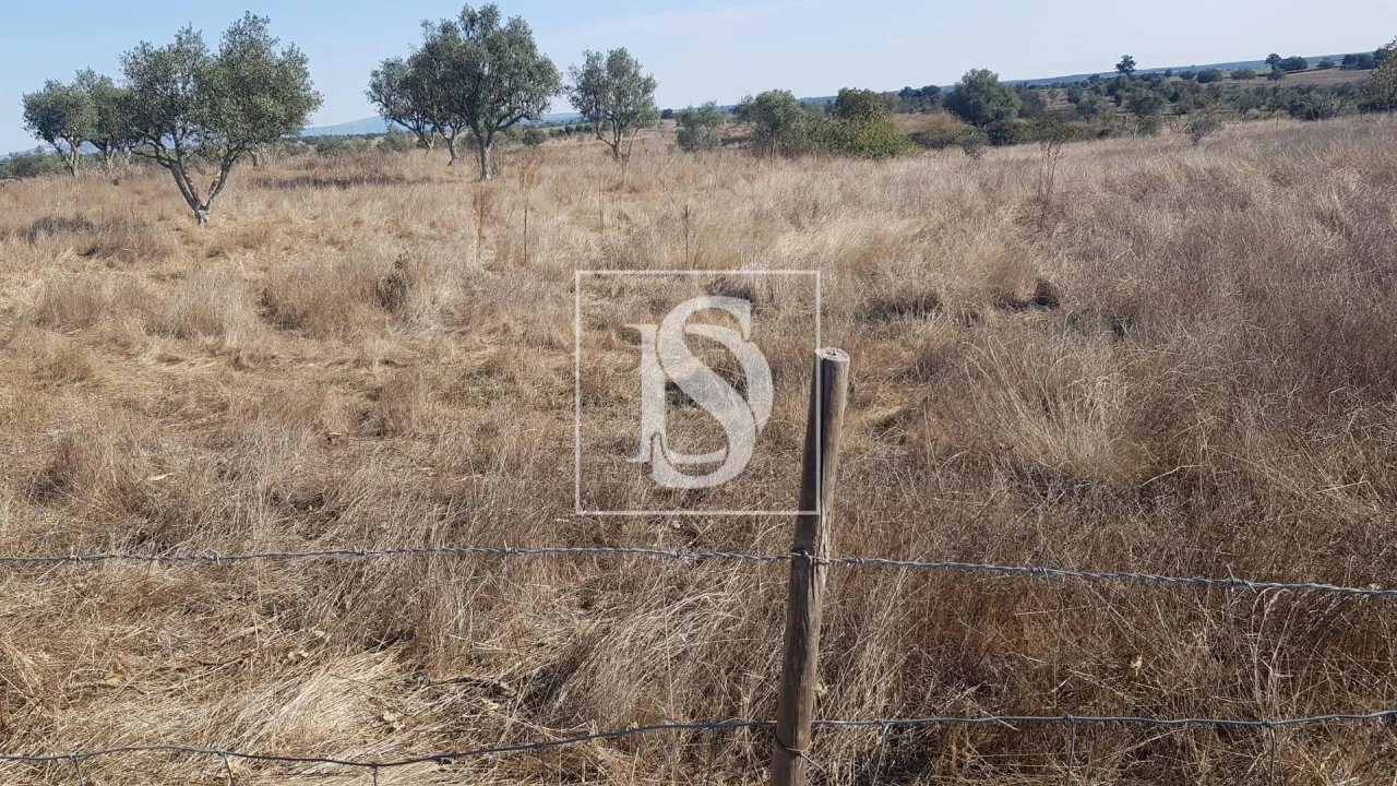 Terreno para Venda em Arez e Amieira do Tejo Foto 3