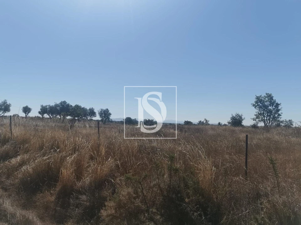 Terreno para Venda em Arez e Amieira do Tejo Foto 6