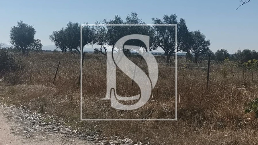 Terreno para Venda em Arez e Amieira do Tejo
