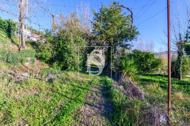 Quinta T3 para Venda em São Torcato Foto 21