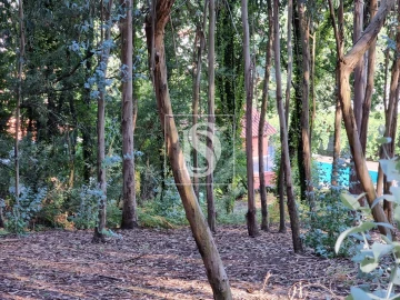 Terreno para Venda em Arões (São Romão)