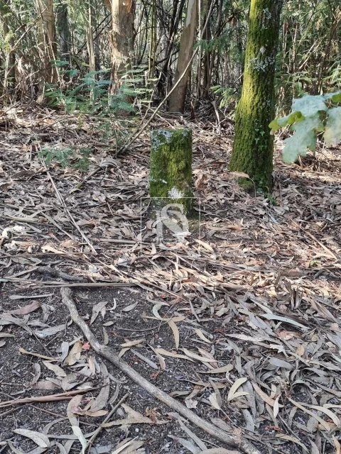 Terreno para Venda em Arões (São Romão)