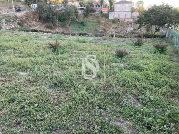 Terreno para Venda em Arões (São Romão)