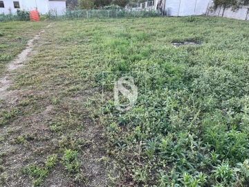 Terreno para Venda em Arões (São Romão)