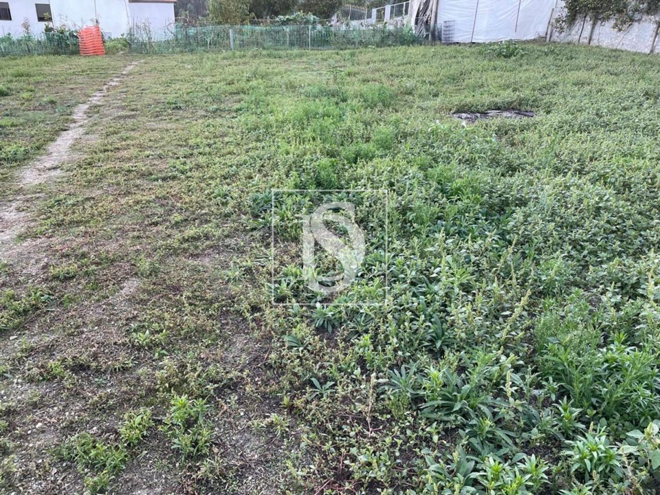 Terreno para Venda em Arões (São Romão) Foto 2