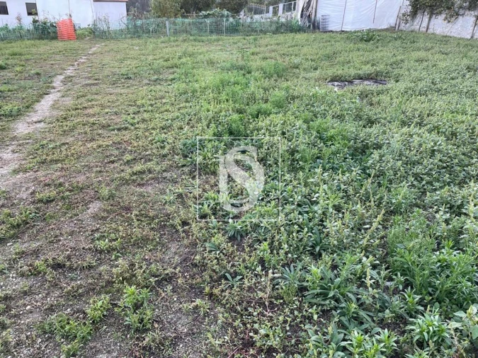 Terreno para Venda em Arões (São Romão) Foto 2