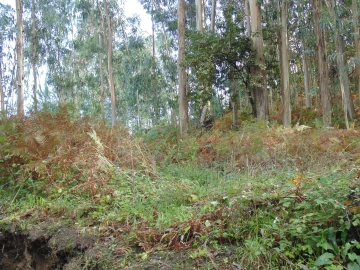 Terreno para Venda em Antime e Silvares (São Clemente)