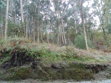 Terreno para Venda em Antime e Silvares (São Clemente)