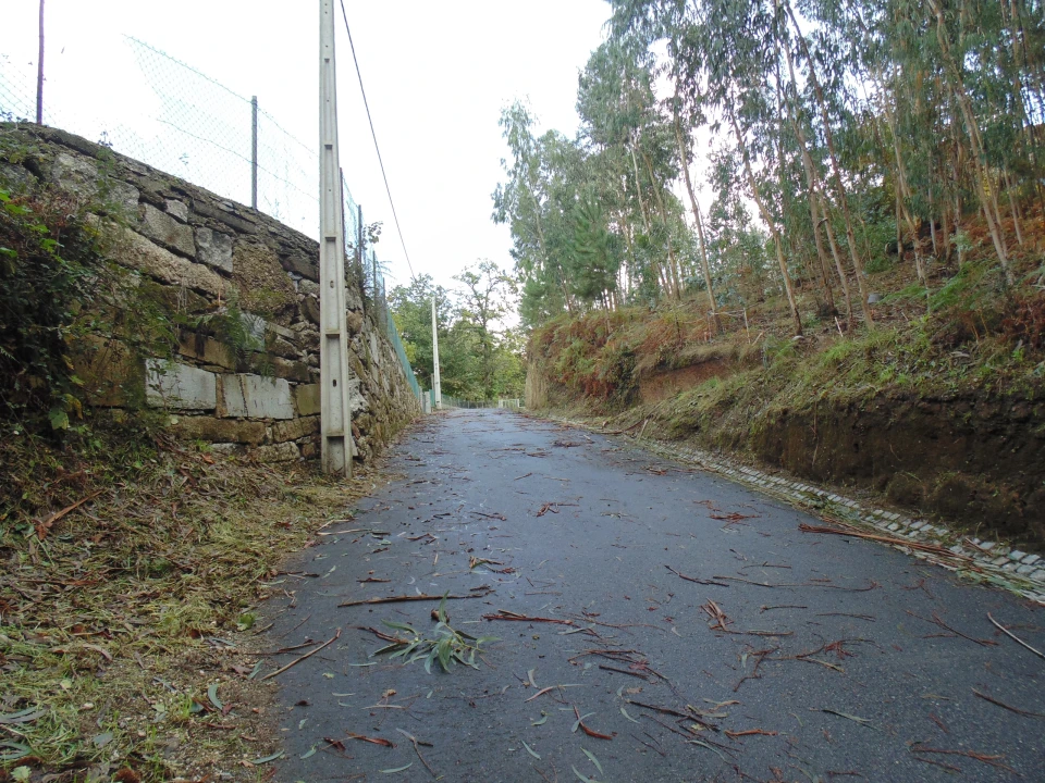 Terreno para Venda em Antime e Silvares (São Clemente) Foto 5