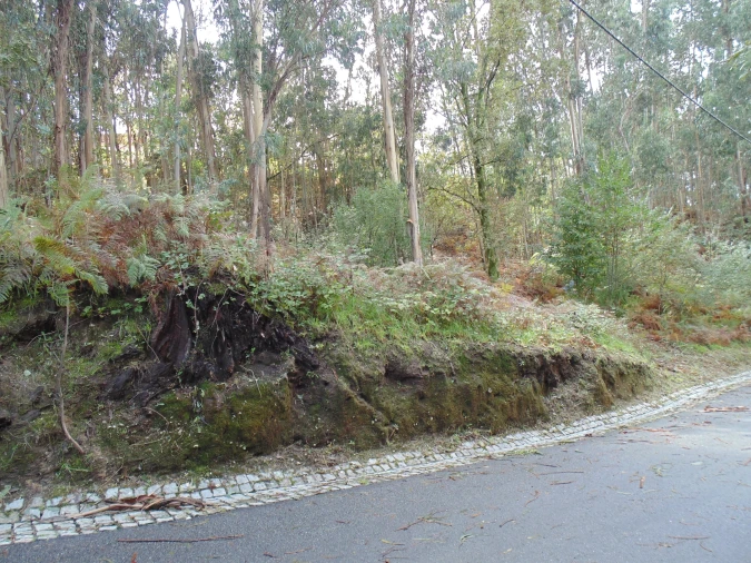 Terreno para Venda em Antime e Silvares (São Clemente) Foto 3