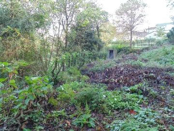 Terreno para Venda em Antime e Silvares (São Clemente)