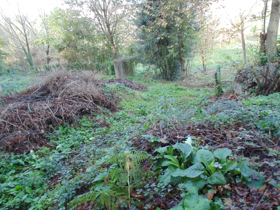 Terreno para Venda em Antime e Silvares (São Clemente) Foto 5