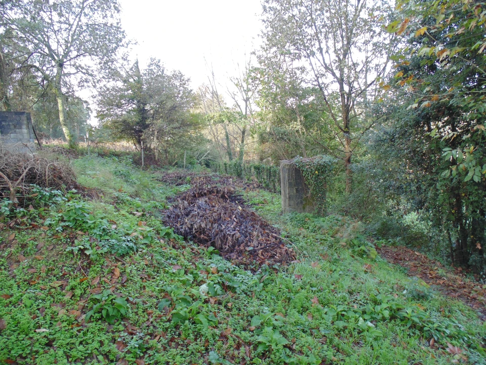 Terreno para Venda em Antime e Silvares (São Clemente) Foto 3