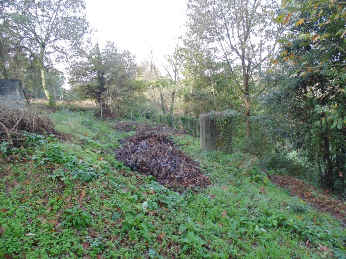 Terreno para Venda em Antime e Silvares (São Clemente) Foto 3