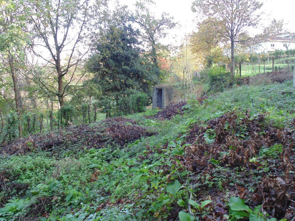 Terreno para Venda em Antime e Silvares (São Clemente) Foto 4