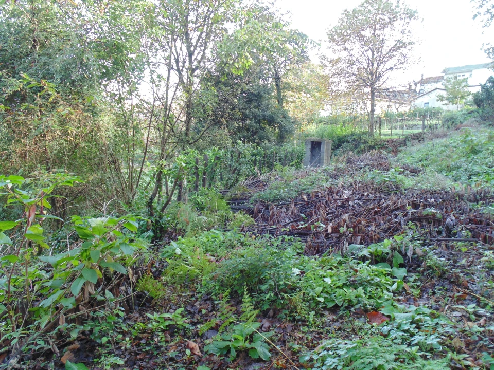 Terreno para Venda em Antime e Silvares (São Clemente) Foto 1