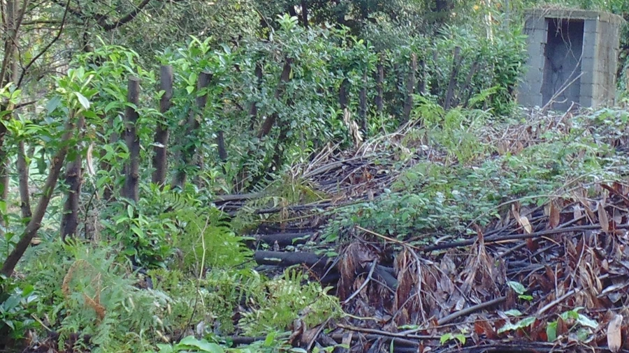Terreno para Venda em Antime e Silvares (São Clemente)