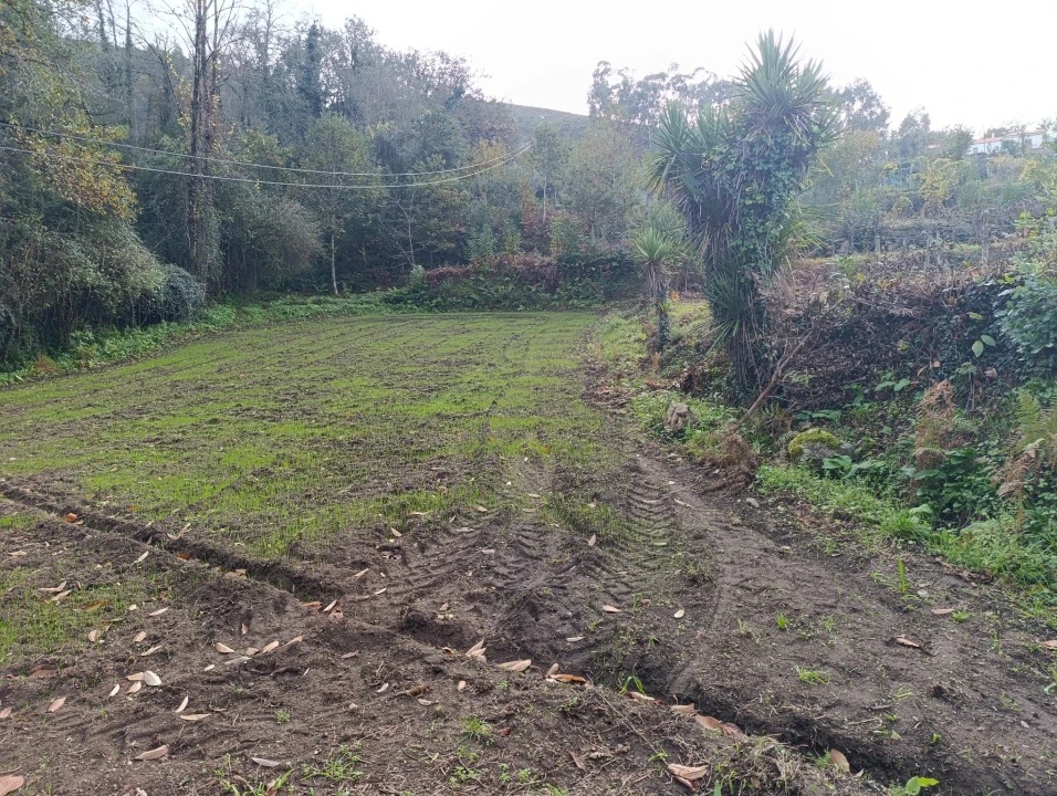 Terreno para Venda em Freitas e Vila Cova Foto 1