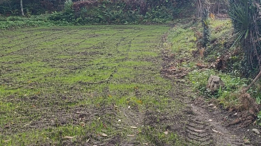 Terreno para Venda em Freitas e Vila Cova