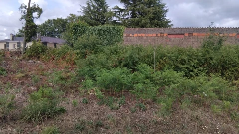 Terreno para Venda em Albergaria-A-Velha e Valmaior